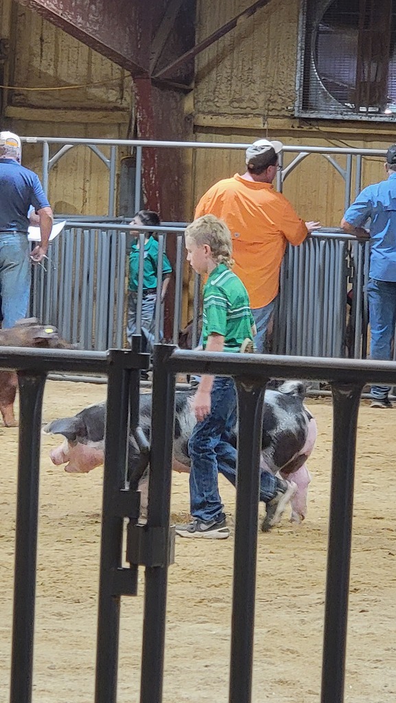 Stock Show