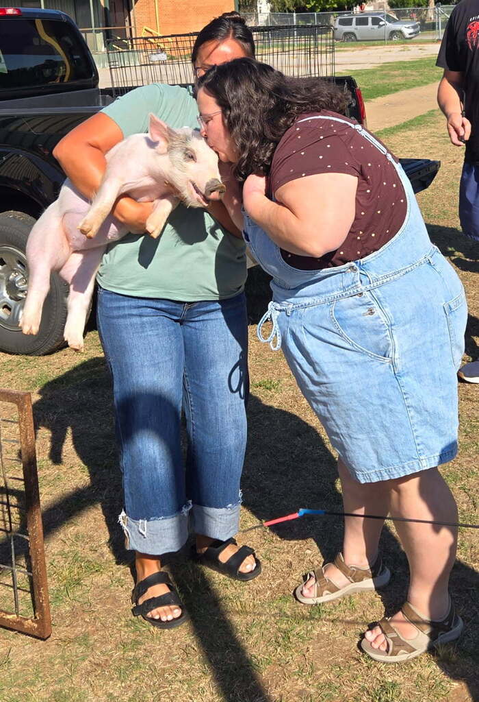 Pig4