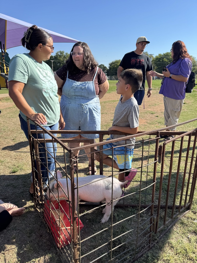 Pig2