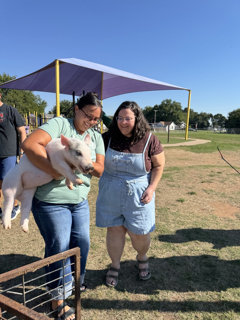 Pig3