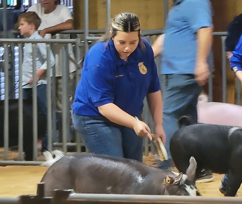 FFA