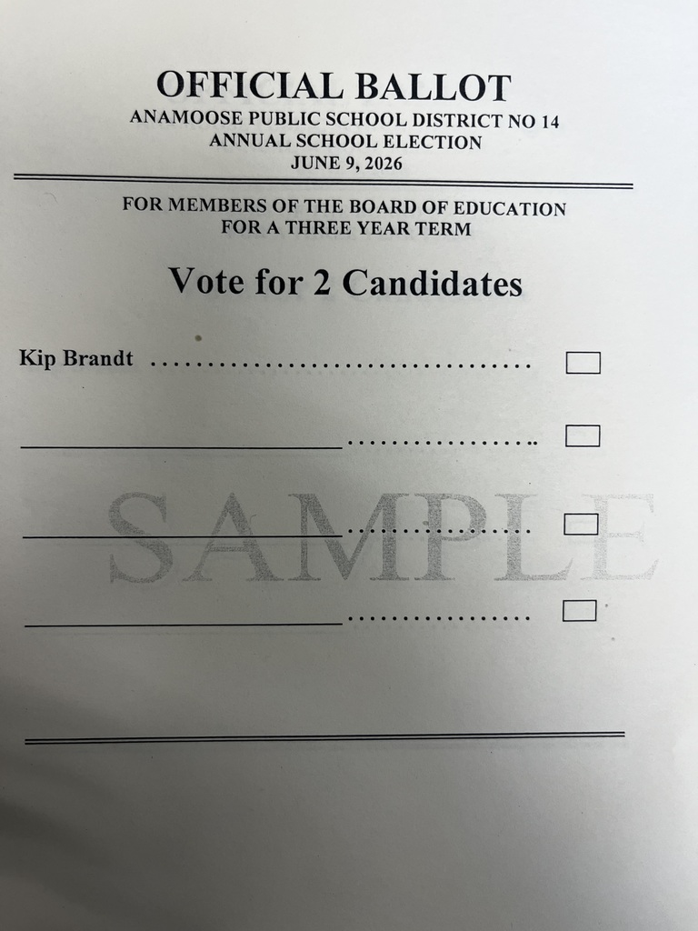 anamoose unofficial ballot