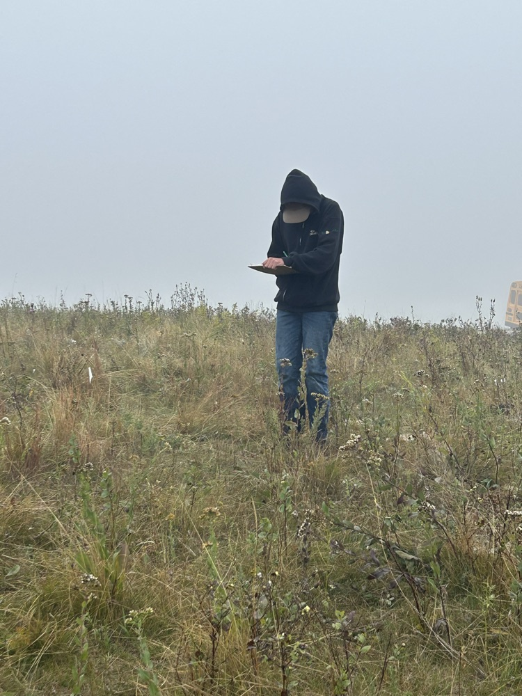 documenting 