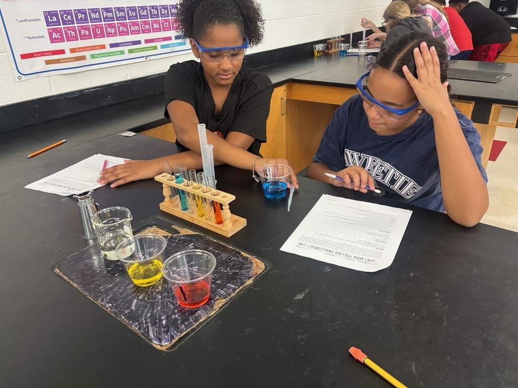 Rainbow Lab