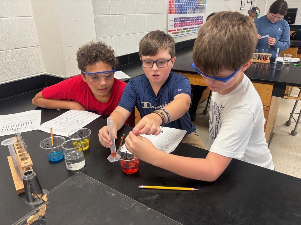Rainbow Lab