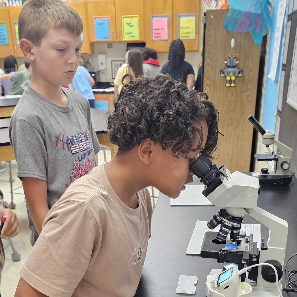 BMS 6th Grade Science students became young scientists today! They used microscopes to examine specimens and determine if they were living or non-living based on the Characteristics of Living Things.