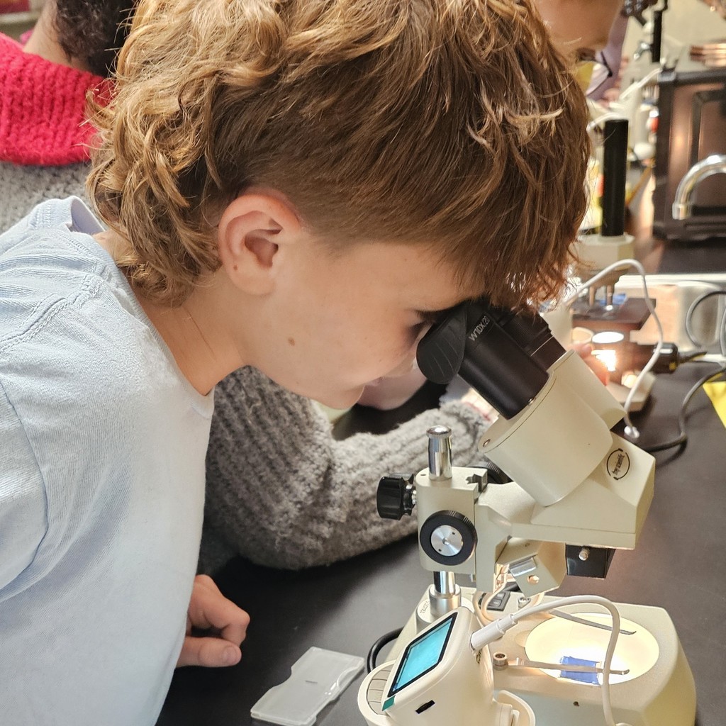BMS 6th Grade Science students became young scientists today! They used microscopes to examine specimens and determine if they were living or non-living based on the Characteristics of Living Things.