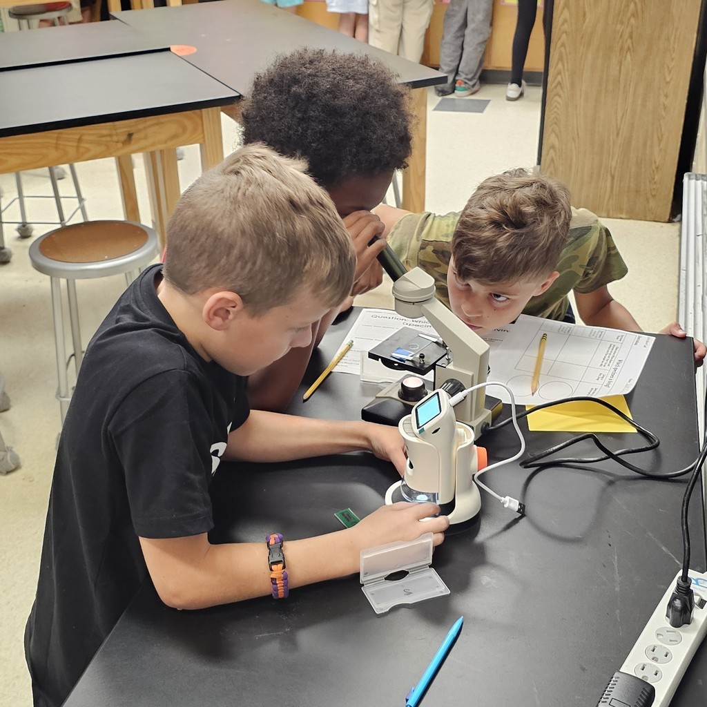 BMS 6th Grade Science students became young scientists today! They used microscopes to examine specimens and determine if they were living or non-living based on the Characteristics of Living Things.