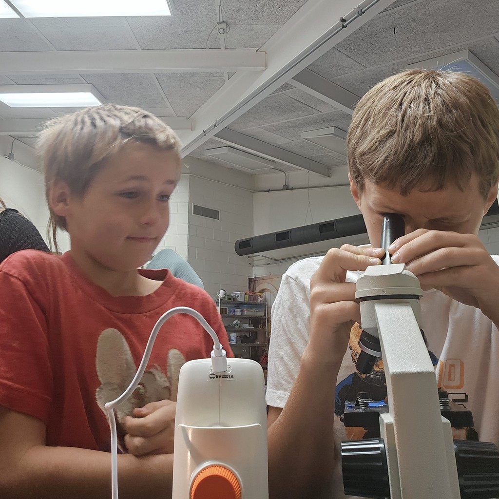 BMS 6th Grade Science students became young scientists today! They used microscopes to examine specimens and determine if they were living or non-living based on the Characteristics of Living Things.