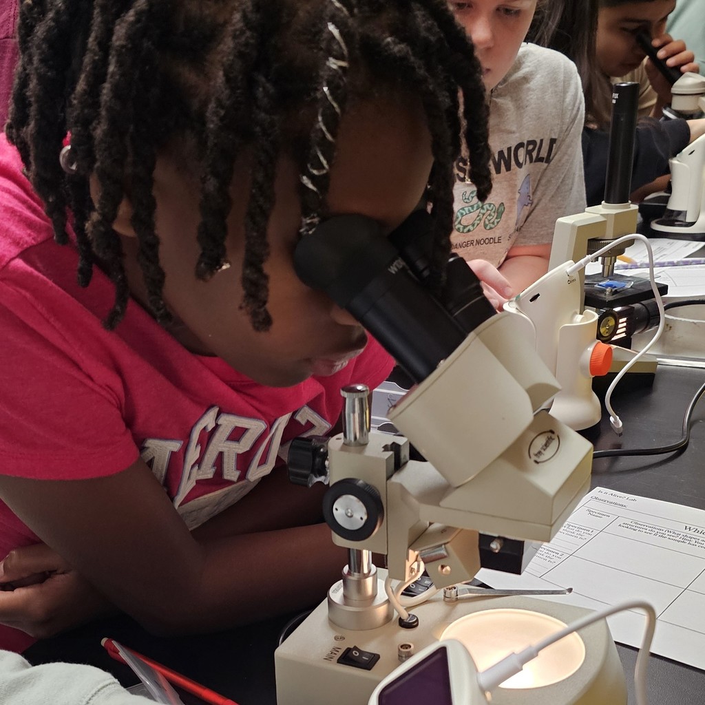 BMS 6th Grade Science students became young scientists today! They used microscopes to examine specimens and determine if they were living or non-living based on the Characteristics of Living Things.