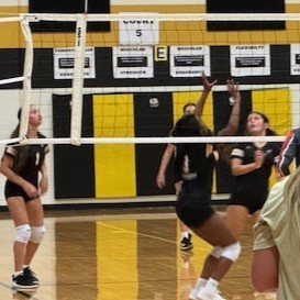 BMS Volleyball