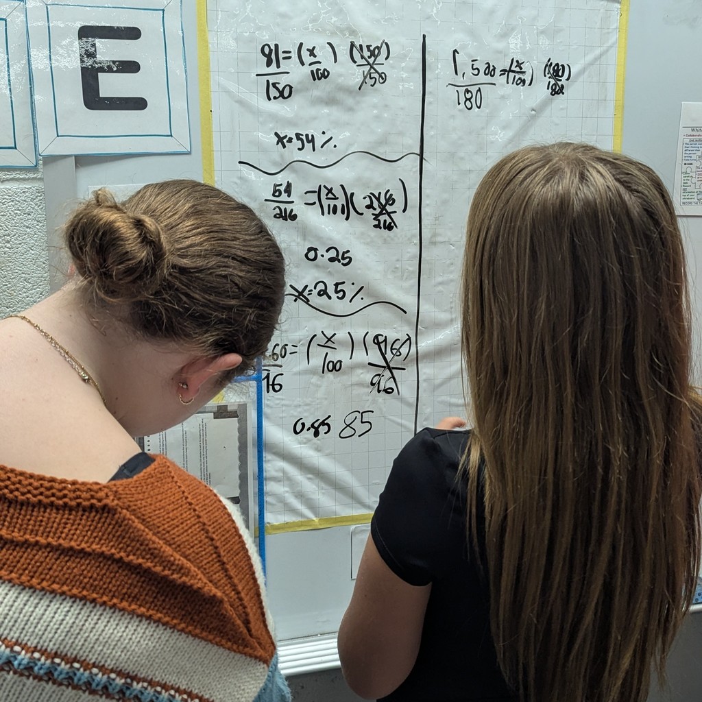 Mrs. Danko’s students collaborated in teams to tackle problem-solving together. 
