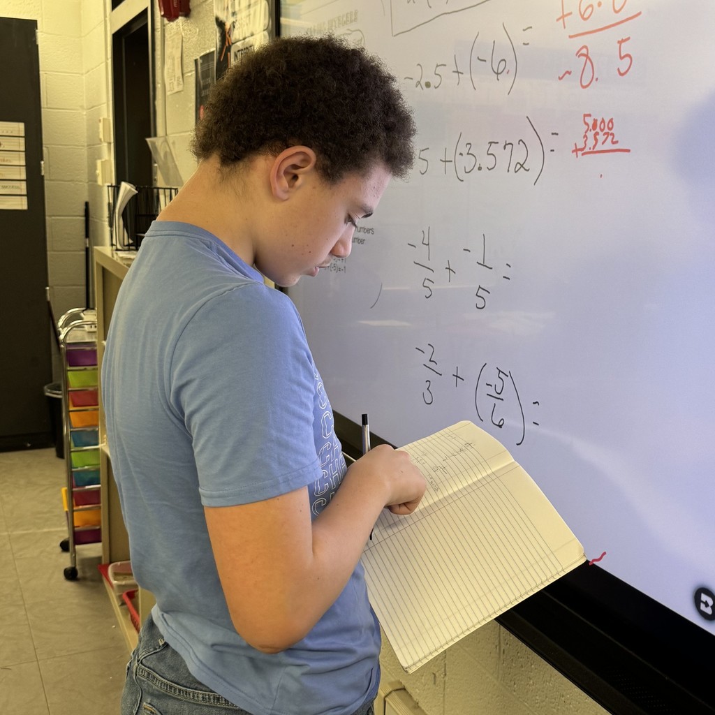 Student as teacher