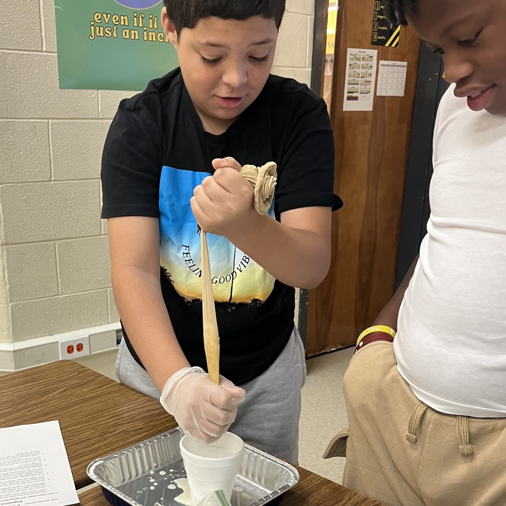 Digestive system lab