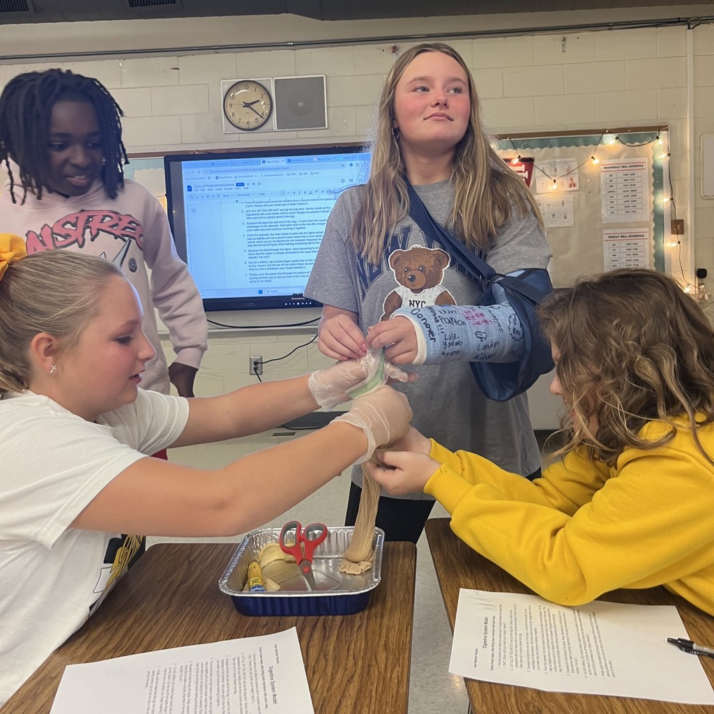 Digestive system lab