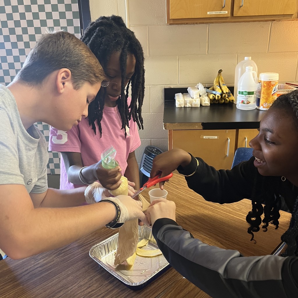 Digestive system lab