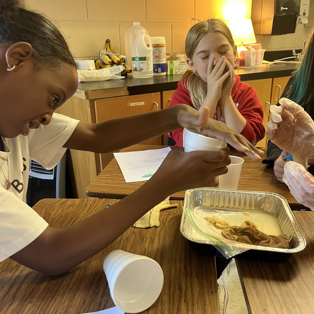 Digestive system lab