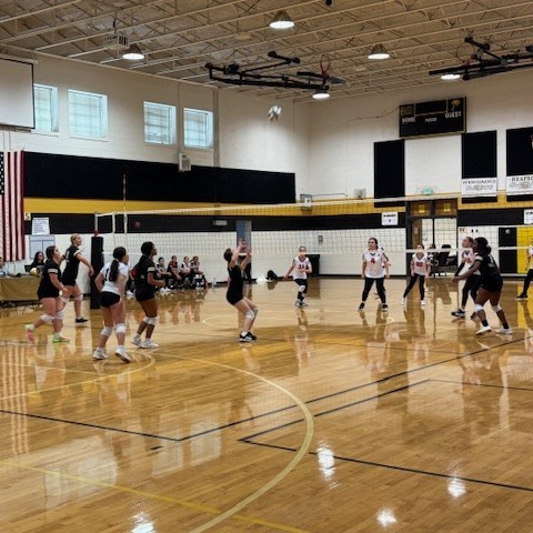BMS Volleyball
