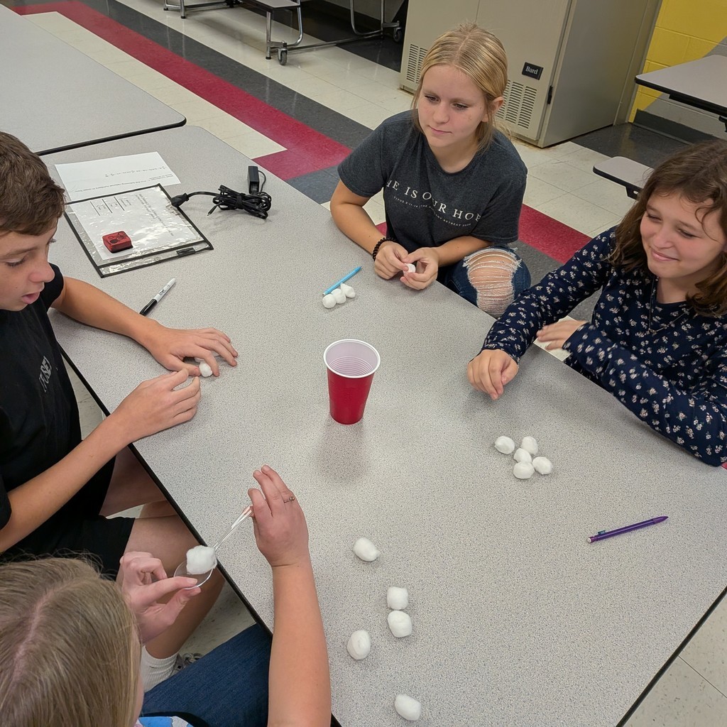 Survivor Math with Mrs. Danko and Mr. Patterson!