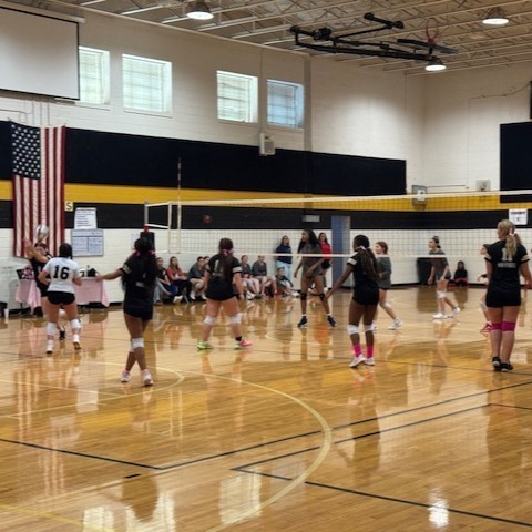 VOLLEYBALL