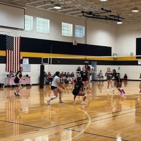 VOLLEYBALL