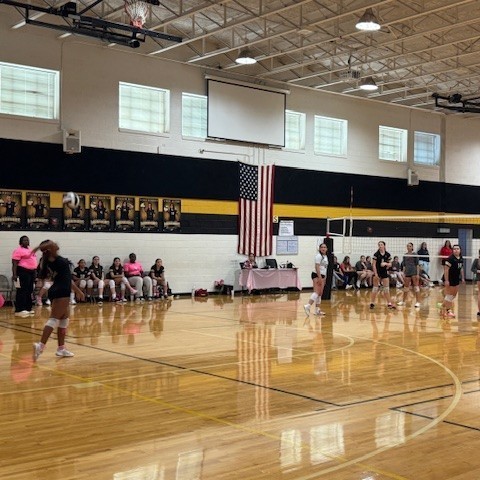 VOLLEYBALL