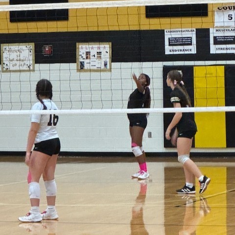 VOLLEYBALL
