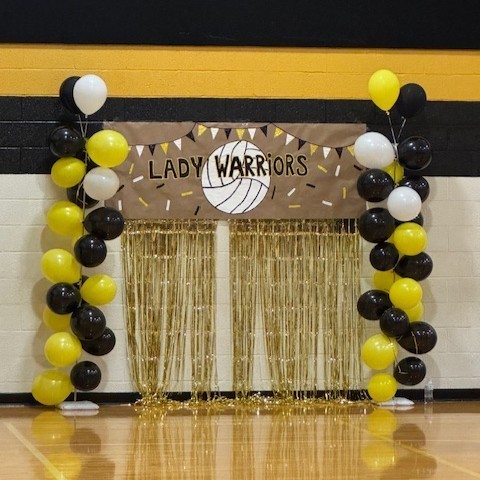 VOLLEYBALL