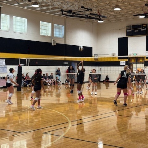 VOLLEYBALL
