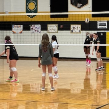 VOLLEYBALL