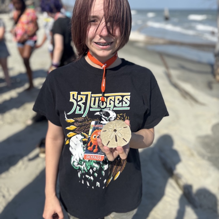 sand dollar