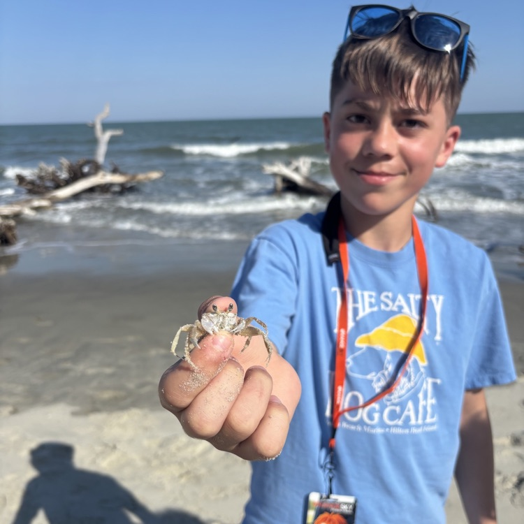 crab
