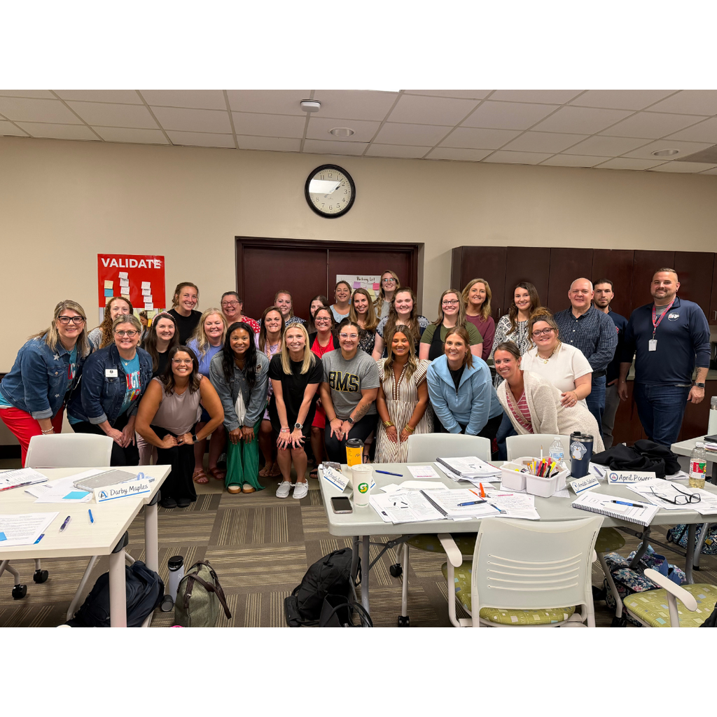 Mentor Training