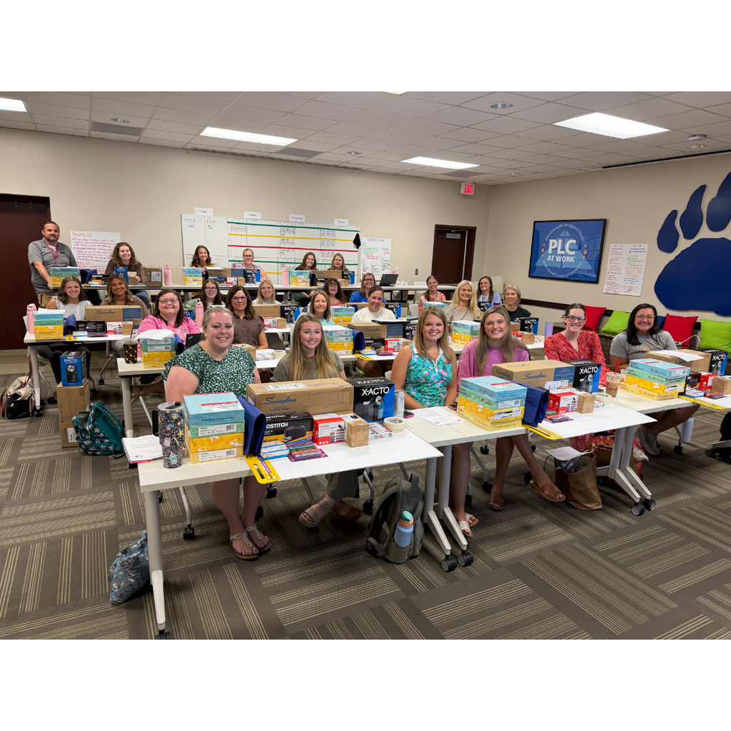 New teachers and mentors