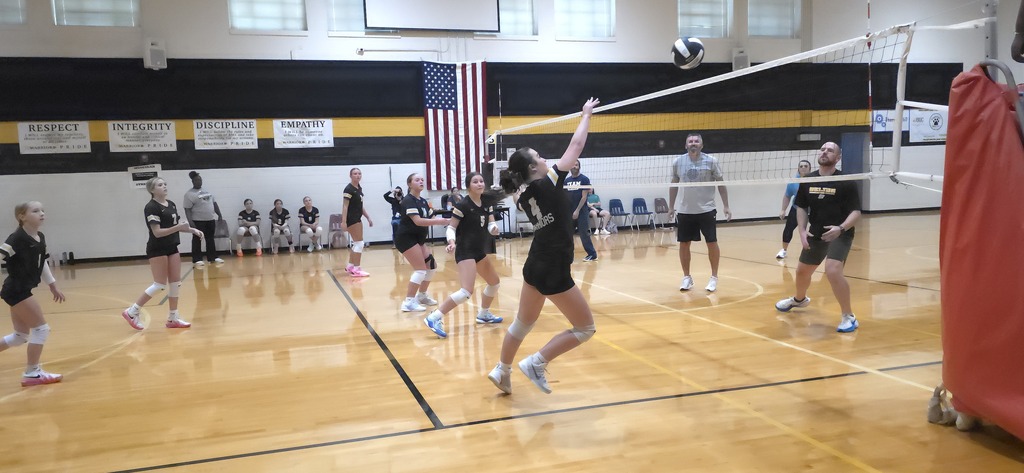 Volleyball