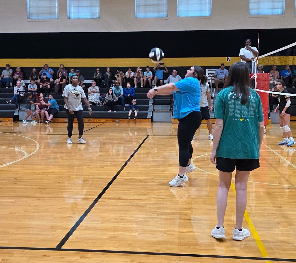 VolleyballVolleyball