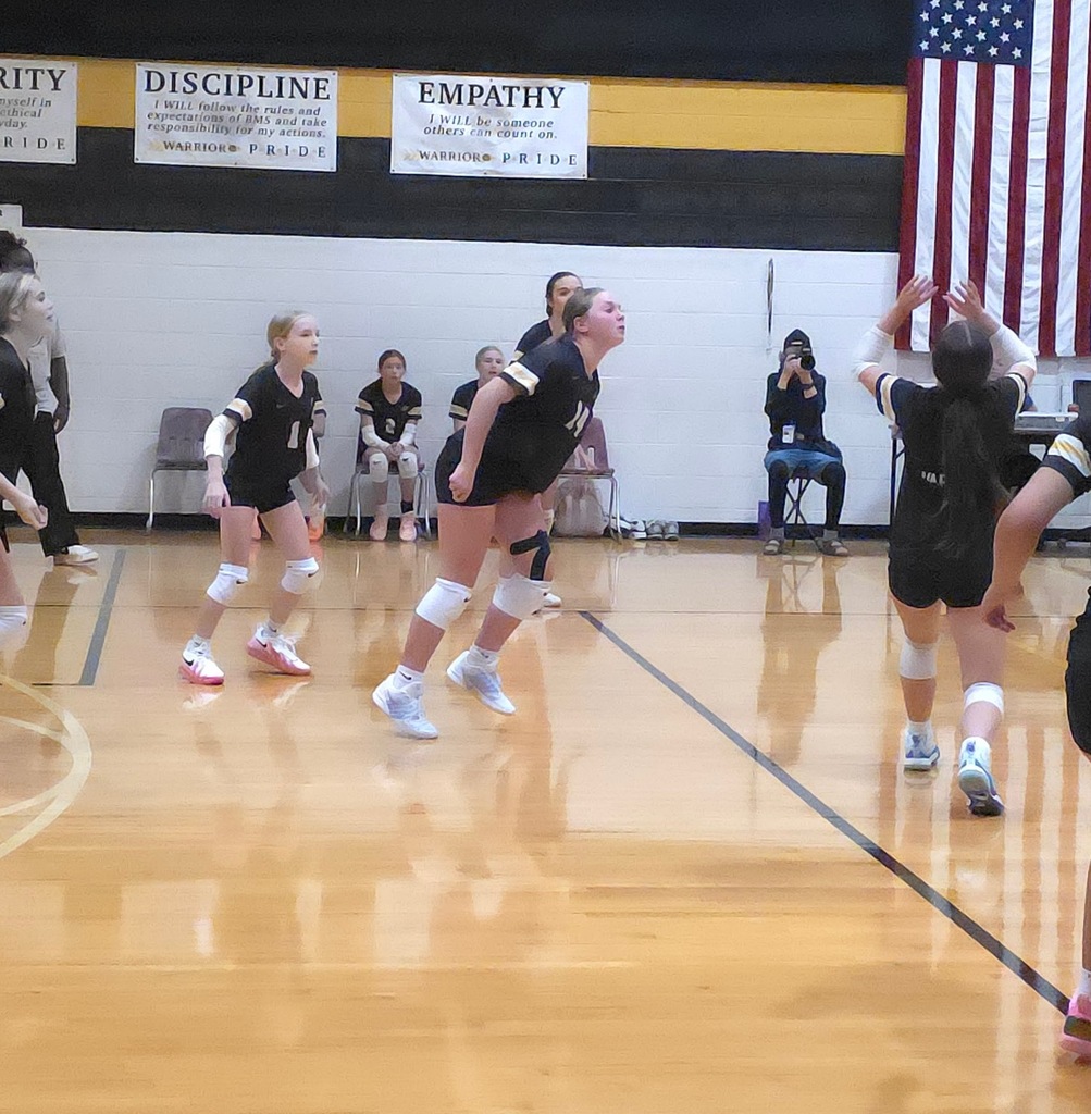 Volleyball