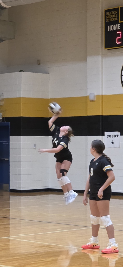 Volleyball