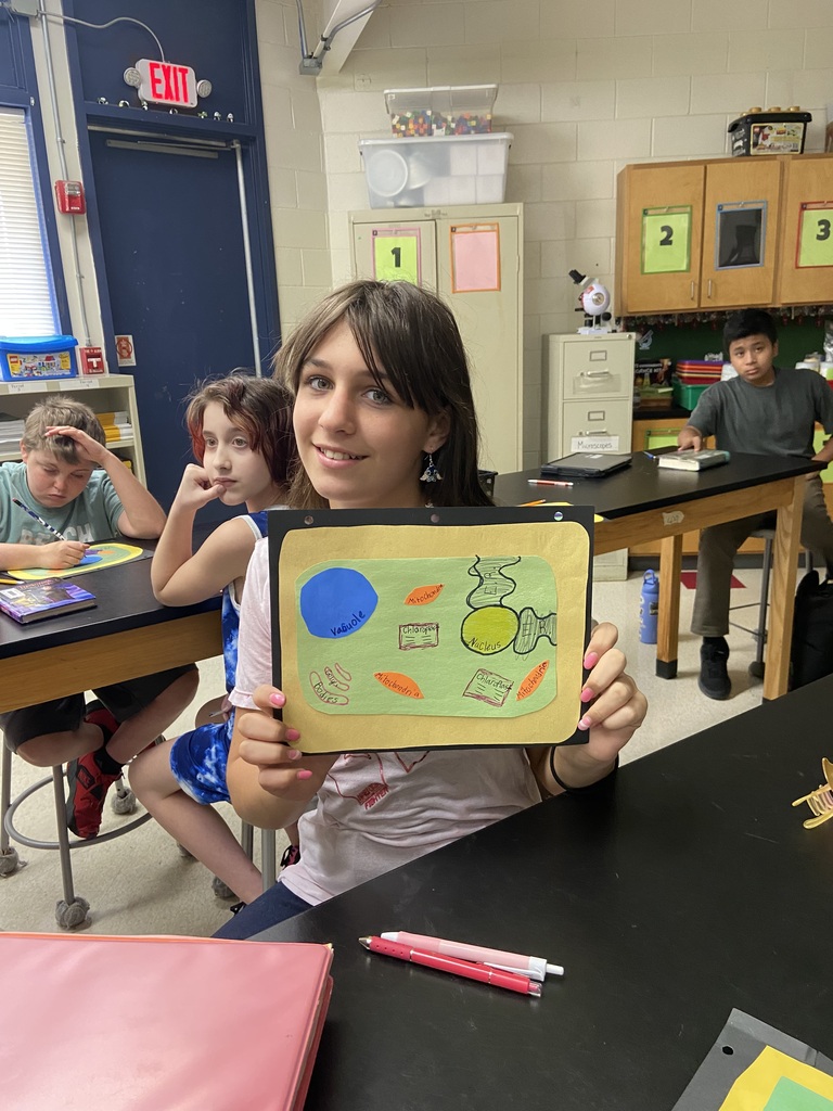 BMS Science