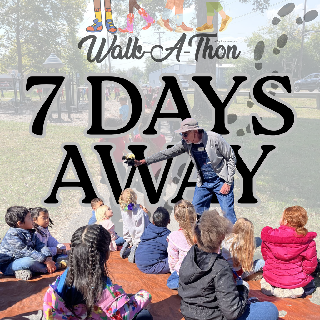 walk a thon