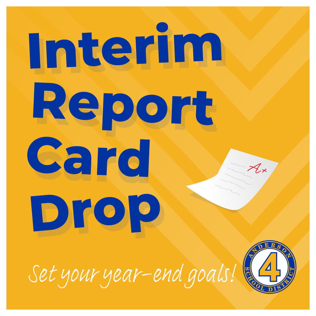 Interim Progress Reports
