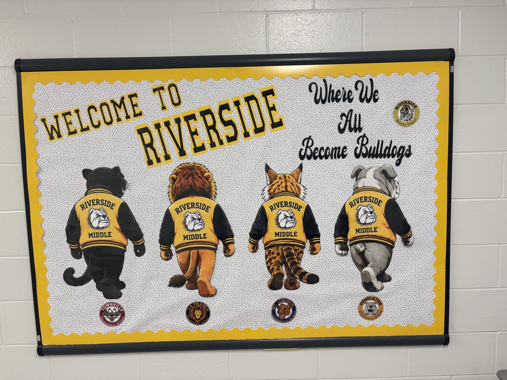 The Board