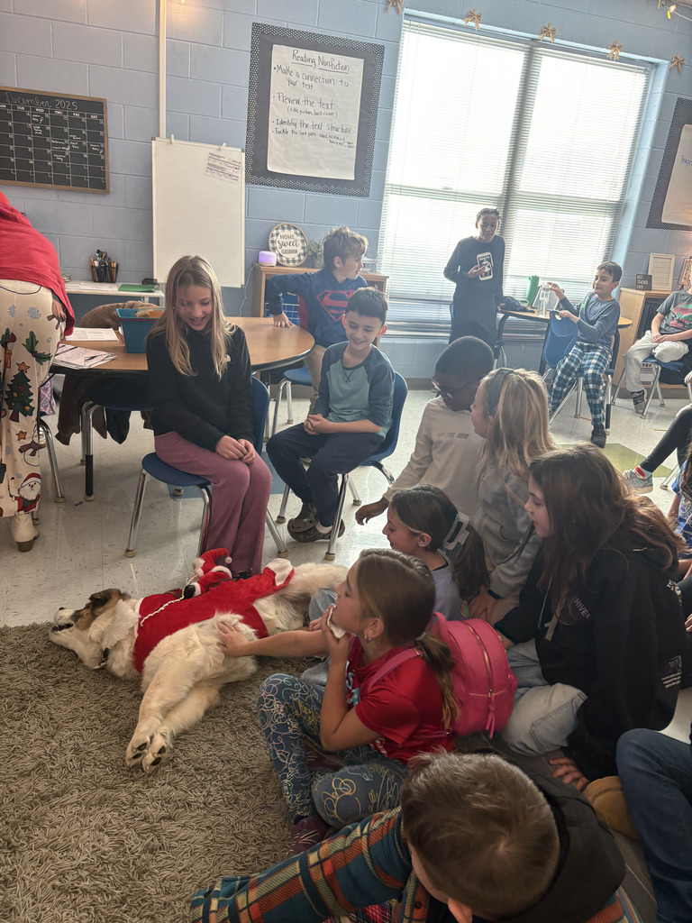 Topper enjoying 4th grade class petting him