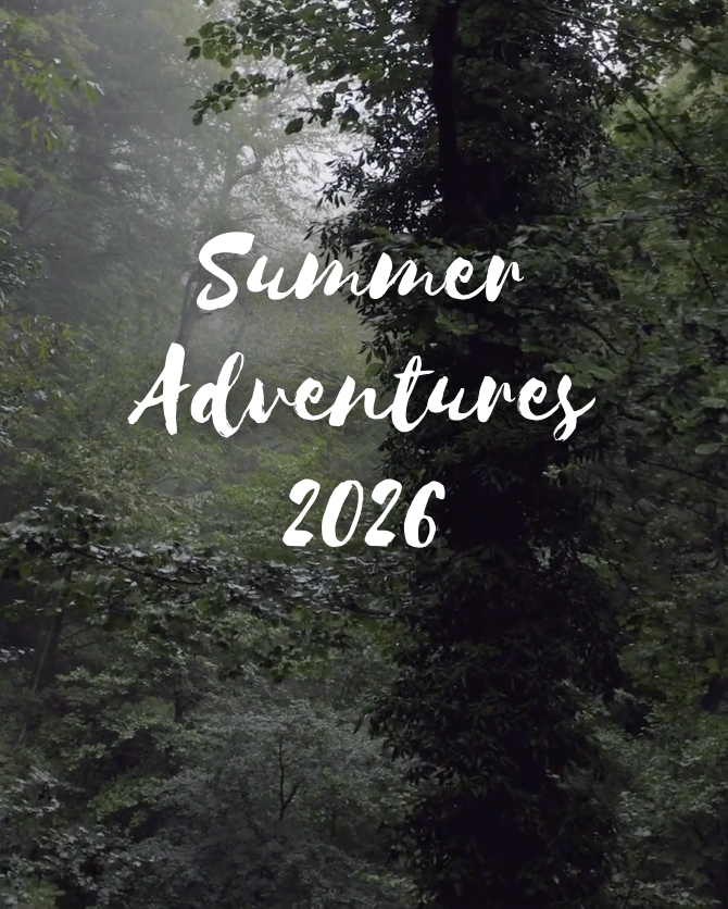 Post about submitting summer photos...