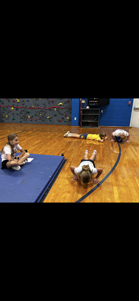 Students participate in a physical education activity in the school gym. Three students are on the hardwood floor doing push-ups and exercises while another student sits nearby on a blue gym mat. A colorful climbing wall and blue school walls are visible in the background.