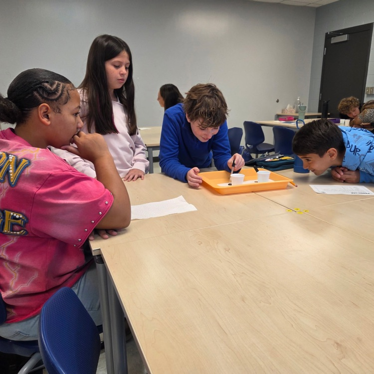 6th Graders Science Lab