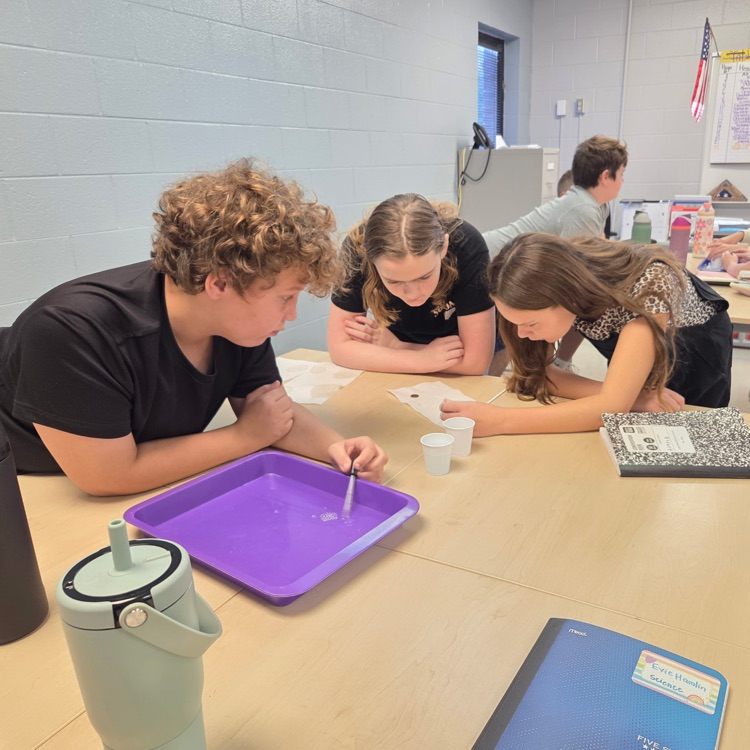6th Graders Science Lab