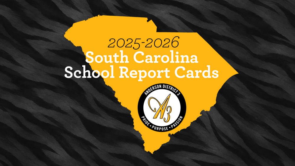 Report Cards