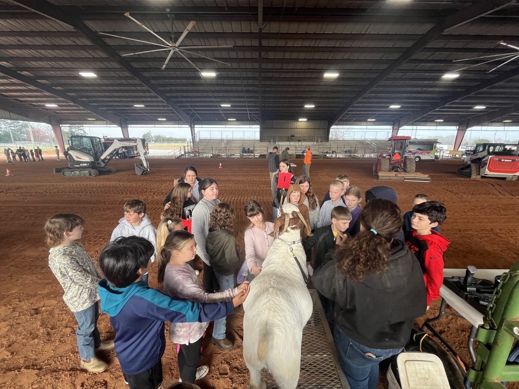 Zinn Goats