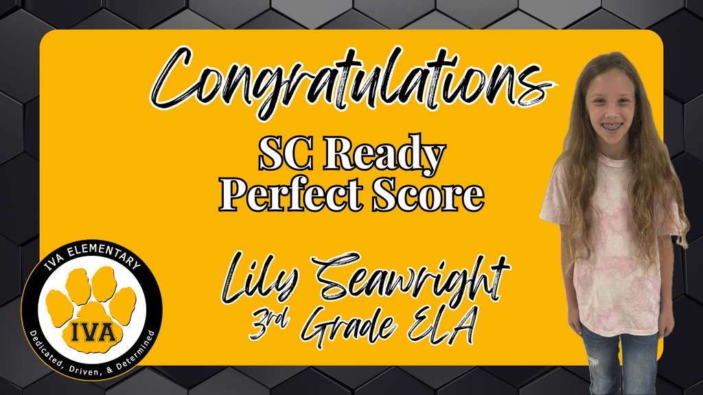 SC Ready Perfect Score